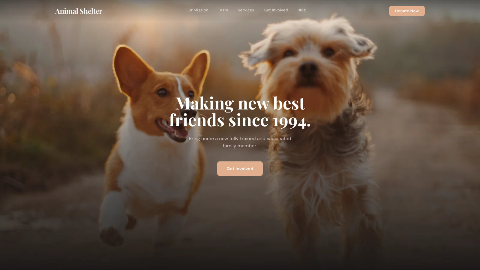 Loading preview of Animal Shelter